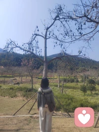 二十年后，我又站在这里，看云卷云舒，也看岁月温柔！愿你的2026，有话可说，有人可依，前途坦荡，万事皆可期！！！🌹🌹🌹❤️❤️❤️🌈🌈🌈