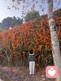 二十年后，我又站在这里，看云卷云舒，也看岁月温柔！愿你的2026，有话可说，有人可依，前途坦荡，万事皆可期！！！🌹🌹🌹❤️❤️❤️🌈🌈🌈