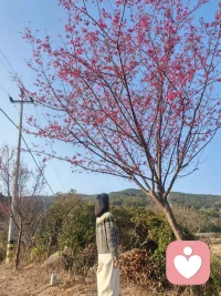 二十年后，我又站在这里，看云卷云舒，也看岁月温柔！愿你的2026，有话可说，有人可依，前途坦荡，万事皆可期！！！🌹🌹🌹❤️❤️❤️🌈🌈🌈