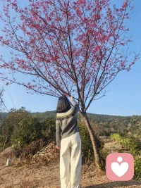 二十年后，我又站在这里，看云卷云舒，也看岁月温柔！愿你的2026，有话可说，有人可依，前途坦荡，万事皆可期！！！🌹🌹🌹❤️❤️❤️🌈🌈🌈