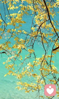 人生本就有缺憾，有无常，学会接受，方得从容。接受偶尔的失意，不纠结不沉沦；接受他人的离开，不纠缠不执念；接受平凡的自己，不焦虑不苛责。接受所有遗憾与馈赠，才能轻装前行，在寻常日子里寻得内心的安稳与自在。