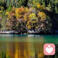 过往像本翻旧的书，纸页泛黄，边角卷翘。那些欢喜与遗憾，热烈与平淡，都被时光封存在字句里。偶尔翻起，熟悉的画面还会浮现，情绪仍会轻颤，却只剩温柔的余温。终究是回不去的路，只化作身后的光，悄悄照亮前路的脚步。