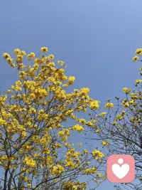 世上有两样东西不能直视：一是太阳，二是人心。你饿的时候，有人分你半个馒头，这是友情；有人把整馒头让你吃，这是爱情；有人藏起馒头说 “我也饿”，这是社会。经历多了就懂，哪些人该留在生命里，哪些人该慢慢走远。事不发生，不知谁近谁远；人不相处，不知谁浓谁淡。茶因不饮而凉，人因不惜而散！配图