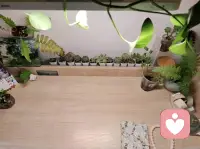 昨晚临睡前，一个和我做了三个月长程咨询的大学生发了我两张图片，后面还附了一段文字：“三个月前，我曾以为自己的心树萧索、春意已绝、毫无生机。如今，我在老师的陪伴和引导下才渐渐懂得：我从未真正的枯败过，枯败的其实是过往、是曾经的执念，以及自己背负过的他人命运。于是，我今天布置了我的“小空间”，让我和里面的生命一样，不再追问花期，而是只关注为自己灌溉和沐浴阳光，让能量在寂静中积蓄，剩下的都交给时间，因为唯有时间对谁都是最公平的。配图