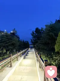 成瘾的本质是对无法忍受的内在痛苦的回应。