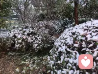 慢慢即漫漫配图