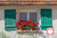 任何事情，只要心甘情愿，总是能够变得简单。生活亦是，工作亦是。心有志气，生命才坚壮。内心安定，在哪里都踏实安稳！