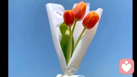 礼仪不是束缚，而是尊重的表达