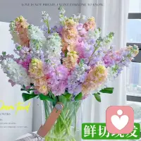 真正有修养，有品位的人，话有三不说：贬低别人的话不说。抬高自己的话不说。毫无价值的话不说。事有三不做：损人害人的事不做，眼高手低的事不做，狂妄自大的事不做。配图