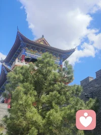 紧紧抓住爱的过往不放手，深层心理根源是无法直面孤独！
人执念的从不是旧人，可能是那段关系里被陪伴的自己吧。配图