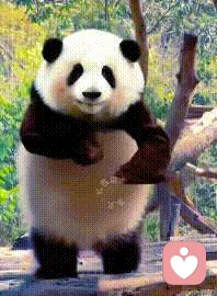 开开心心过好每一天配图