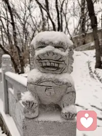 前两天下了2026年第一场大雪
愿平安喜乐🌈