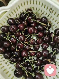 不要刻意的去遇见谁，也不要急于拥有谁，更不顽强的去留住谁，一切都顺其自然，最好的自己留给最后的人