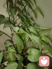 别人的尺子量不了你的人生，别人的地图找不到你要走的路，不要委屈自己去讨好别人，过好自己的生活最重要