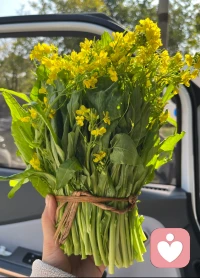 幸福没有标准答案，快乐不止一条路，自己喜欢的日子便是好日子