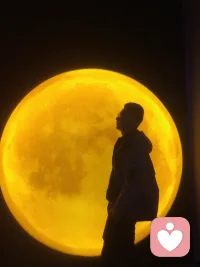 如果你的学习能让你能量提升，能显化你想要的，固然很好。

但凡你的看书，听课，打坐，参禅，所有这些形式，只要没有让你提升能量的，没有显化结果的，均是假修行。均是自我感觉良好的逃避。不如马上停下来，去行动，去实践，去落地🌹配图