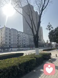 晒晒太阳😎配图