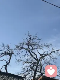 天清气朗，心情甚好，愿你也是，接福于上。