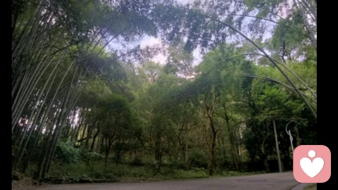 让人不舒服的10种行为