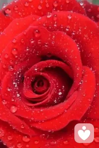 很多时候，我们不是不知道该怎么办，
而是心里装了太多话，却找不到一个愿意听的人。
 
那些说不出口的委屈、反复咀嚼的情绪、
深夜里突然冒出来的不安、白天强撑着的笑容……
其实都需要一个出口。配图