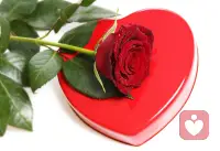 6关系里最痛的往往不是失去，

而是“说不明白”和“放不下”。配图