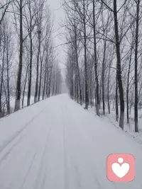 状态拉满，心里超给力！目标就在前方，冲就完事了💪 #努力的意义配图