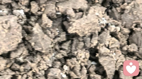 我爱你,可是我们不能在一起