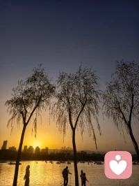 生命是什么？就是一条活着的基因；它可以要么断链！要么继续鲜活延续、继续强大，生生不息！