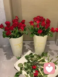 不接单了 晚安啦配图