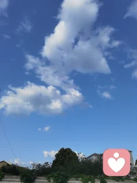 方得宁静配图