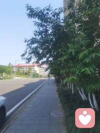 回不去的校园，配图