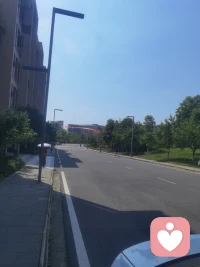 回不去的校园，配图