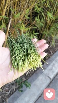 【4.7 | 清明后的留白，是给思念喘口气的空间】
 
雨停了，墓园的草尖还挂着水珠，
返程的车里，长辈的叹息还没散——
你是不是也带着一身没说出口的情绪：
▫️ 对着墓碑没敢说的“我想你”，还堵在喉咙
▫️ 被“习俗”拦下的祭拜，成了悄悄硌心的小遗憾
▫️ 回到日常的忙碌里，却总在某个瞬间突然想起
 
其实啊，
思念从不是清明节的“限定任务”。
它可以是晚饭后突然想做的那道菜（是ta生前爱吃的），
是整理旧物时对着一张老照片发呆的5分钟，
是终于敢对自己说“我真的有点想你了”的瞬间。
 
我是知夏，
懂你把思念藏进日常的隐忍：
那些没完成的告别，
那些被压抑的情绪，
那些“过了节就该好起来”的自我要求，
都可以慢慢说。
 
今天，不用逼自己“翻篇”，
给思念一点留白的时间。
评论区留一句你想对ta说的话，
哪怕只是“今年的春茶，还是你喜欢的味道”，
我都在这儿听着。
 
#清明余韵 #思念树洞 #给力心理知夏