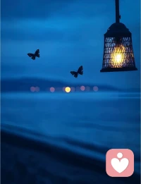 不必事事清醒
夜晚就留给松弛与自愈配图