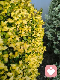 你们周末有遇到什么让心情亮起来的小细节吗~配图