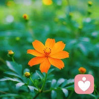 早安~
 
允许自己慢一点
允许情绪轻轻来、轻轻走
不必坚强到底，也不必事事懂事
照顾好内心的小孩，比什么都重要配图