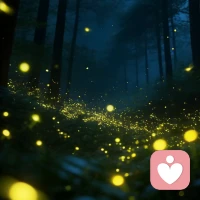 爱自己，从接纳自我开始
在琐碎的日常里，找到节奏
前行不仅是为了抵达
更是为了沿途盛开的渴望

晚安~配图