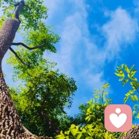 生活每日皆是独一份，早安～配图