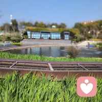 学会善待自己，别为难自己🍃配图