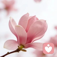 新的一天，元气满满继续向前～配图