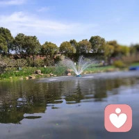 走出来才发现，今天天气22°，感觉穿厚了!😅配图