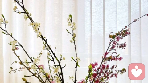 人这一生,最该权衡的,就是财富与健康。\n我们努力赚钱,是为了让生活更体面、让家人更安稳,可千万别忘了,健康才是所有幸福的前提。\n \n不必为了钱财透支身体,