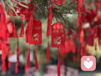 心好像被生生扯碎，脉息都跟着钝痛，连呼吸都带着刺骨的凉。
日子失了光，天地都是灰蒙蒙的，魂像被抽走了大半，行尸走肉般熬着每一分每一秒。
曾经的欢喜全成了剜心的刀，闭眼是你，睁眼是空，这世间再没有能暖透我的温柔，只剩无尽的空落和疼，缠到骨血里，散不去。配图