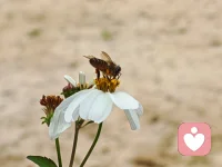 摧毁它，你才能真正变强
你深信不疑的“强大”，可能正是困住你的牢笼。

你是否总在告诉自己“要坚强”“要乐观”“别想太多”？你以为这是自我激励，却不知这可能是一种情感压制。真正的强大，不是永远积极，而是能完整地接住自己的崩溃、愤怒与无力。

心理学家发现，长期无效的“自我激励”会导致“情绪损耗”：你越命令自己快乐，内在的压抑越深，最终在无人察觉的深夜彻底反噬。那些“想开点”的建议之所以令你厌恶，是因为它粗暴地否定了你痛苦的价值。

一个颠覆性的真相是：你需要的不是更多“正向思考”，而是学会“负向接纳”。允许自己安全地体验并表达负面情绪，恰恰是心理免疫系统工作的关键过程。未能完成的悲伤、未被承认的愤怒，永远不会消失，它们会转化为持续的内耗、莫名的焦虑或身体的病痛。

这正是倾听的价值所在——提供一个绝对安全的空间，让你心中被锁住的情绪得以释放、被看见、被理解。 在这里，你不用“变好”，只需“变真”。当我们能一起理解你痛苦背后的深度需求与真实信号时，改变才会从内部自然发生，生出真正的、不竭的力量。

你准备好，迈出这颠覆性的一步了吗？