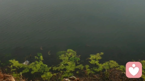 你不是你的情绪｜情绪反扑怎么办？三个步骤彻底走向自由