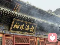 其实真正的强大，根本就不是对抗。而是，如其所是 允许发生。允许遗憾 允许丑陋 允许虚伪 允许愚蠢 允许自己的付出没有回报。当允许一切发生之后，你就会明白，什么叫做闲看庭前花开花落，去留无意。漫随天外云卷云舒。当开始不再跟这个世界对抗的时候，如其所是 自由发展。你会慢慢的变成一个，非常柔软 松弛 放松的人 也就是一个无比强大的 大人配图