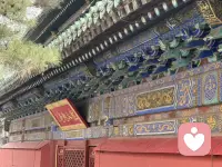 其实真正的强大，根本就不是对抗。而是，如其所是 允许发生。允许遗憾 允许丑陋 允许虚伪 允许愚蠢 允许自己的付出没有回报。当允许一切发生之后，你就会明白，什么叫做闲看庭前花开花落，去留无意。漫随天外云卷云舒。当开始不再跟这个世界对抗的时候，如其所是 自由发展。你会慢慢的变成一个，非常柔软 松弛 放松的人 也就是一个无比强大的 大人配图