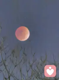 有人在你哭的时候紧紧抱住你，
有人在你哭的时候跟你讲道理。
日子怎么可能和谁过都一样，
选对了人，平凡里都带着光。
无意中听到的一句歌词分享给朋友们。希望大家都能拥有那一份偏爱！