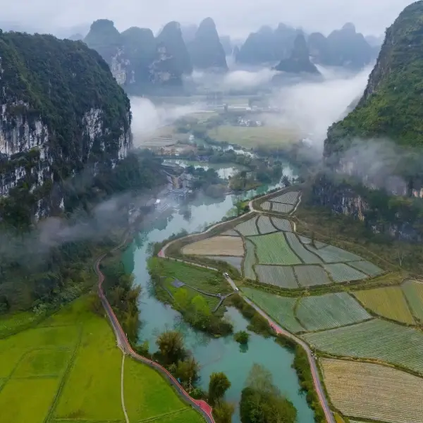 包雯✨倾听与疏导