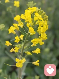 与自己和解

所有的焦虑与迷茫，都是内心的正常回响。不必强迫自己时刻坚强，允许自己不完美，就是善待自己。多给自己一点耐心，少一些苛责，专注当下的每一件小事。真正的心理健康，不是永远快乐，而是学会接纳不完美的自己，在平凡日常中找到平静与力量，温柔且坚定地往前走。